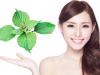 Bí quyết làm đẹp từ lá tía tô: Giảm mụn, dưỡng da, giữ dáng hiệu quả