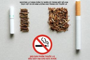 Kiểm soát các sản phẩm có chứa nicotine để bảo vệ giới trẻ