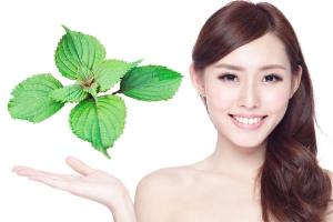 Bí quyết làm đẹp từ lá tía tô: Giảm mụn, dưỡng da, giữ dáng hiệu quả
